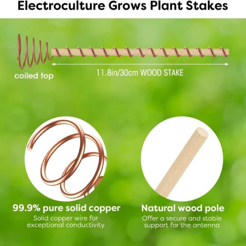 🌱En tråd - Electro Culture Kopparantenn