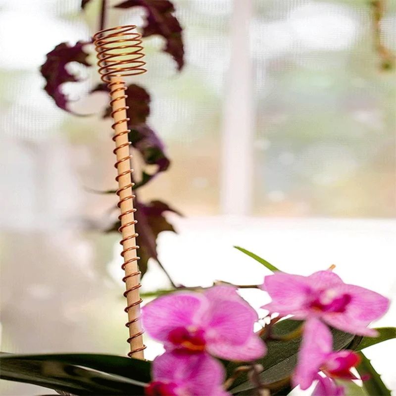 🌱En tråd - Electro Culture Kopparantenn