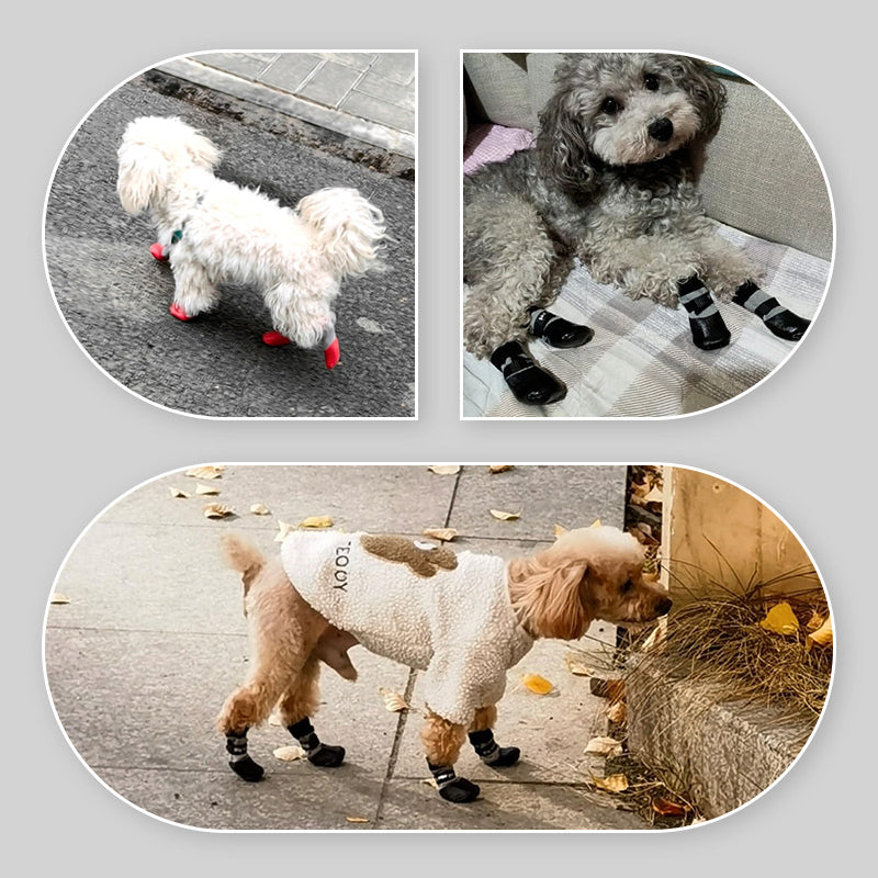 2 Par Anti-Halkvattentäta Hundstrumpor Skor