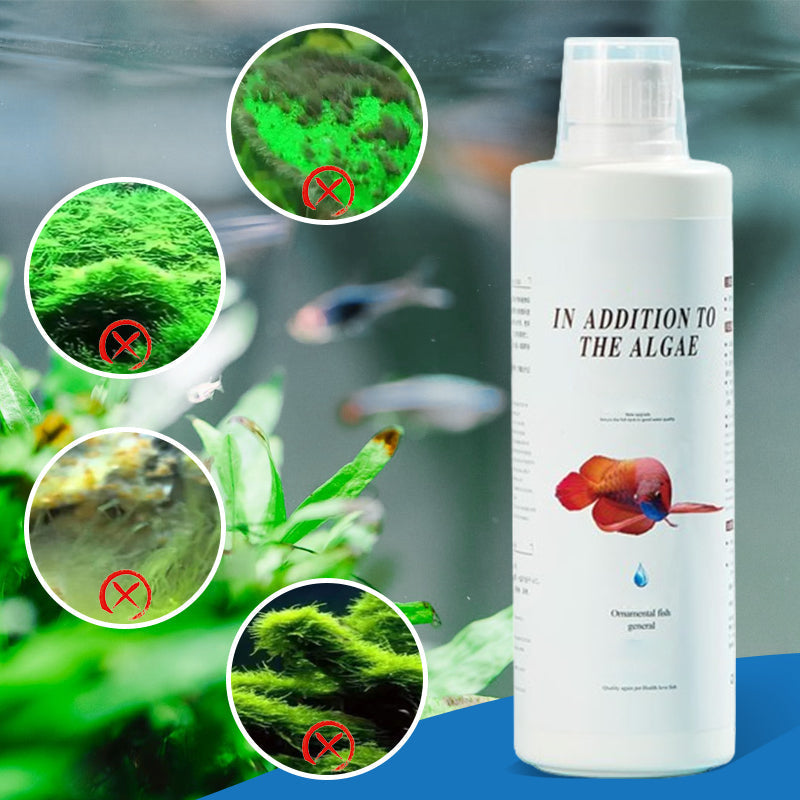 Effective Algae Control for Aquarium