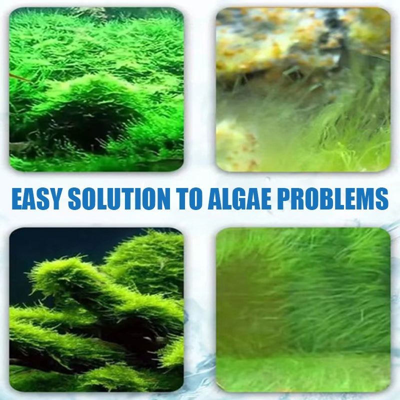 Effective Algae Control for Aquarium