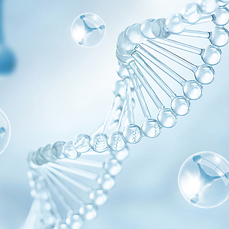 UV-steriliseringslampa för toalett