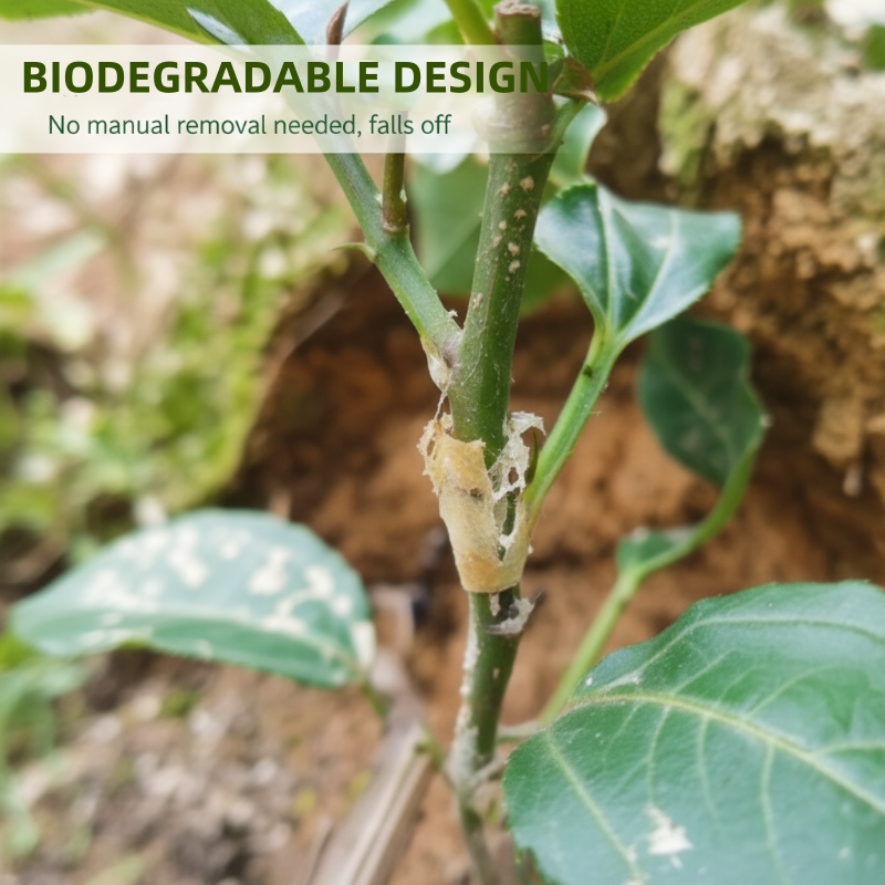 🌳 49% RABATT NU! 🔥 50 st Silikonhylsor för Ympning – Flexibla, Hållbara & Befrämjar Häling på Fruktträd 🛠️🌱