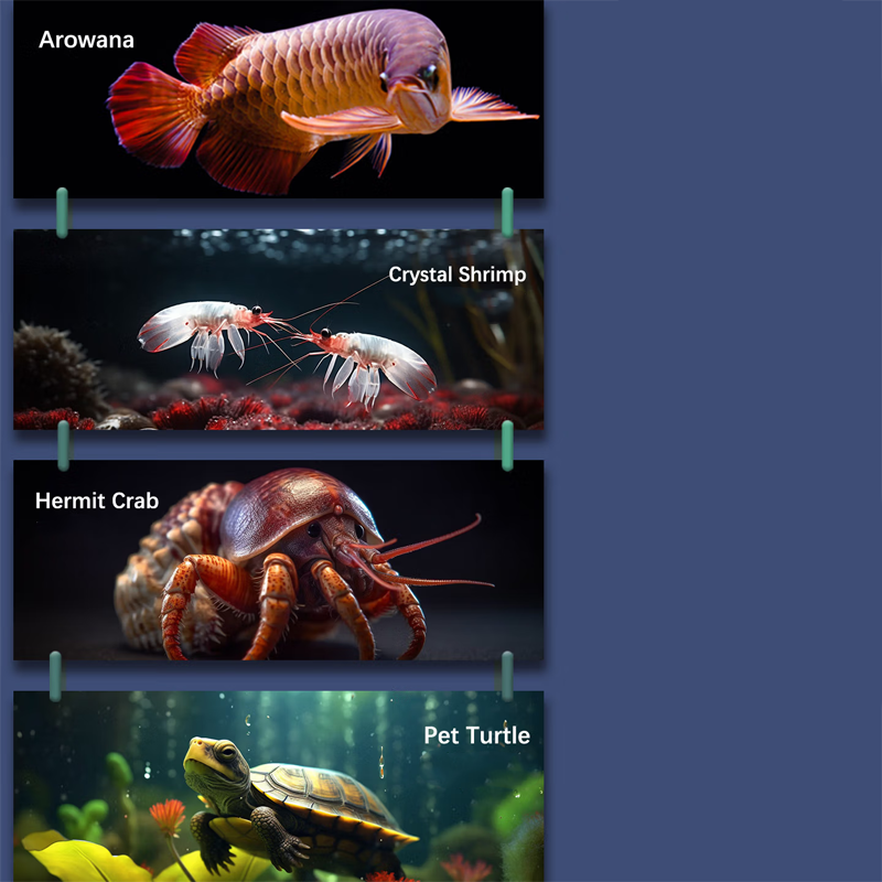 🎉 Nyårspresent: 49% RABATT!🌿 Örtmedicin mot fiskparasiter + vattenbalsam – Säker med växtextrakt: Bekämpar inre/extre parasiter!