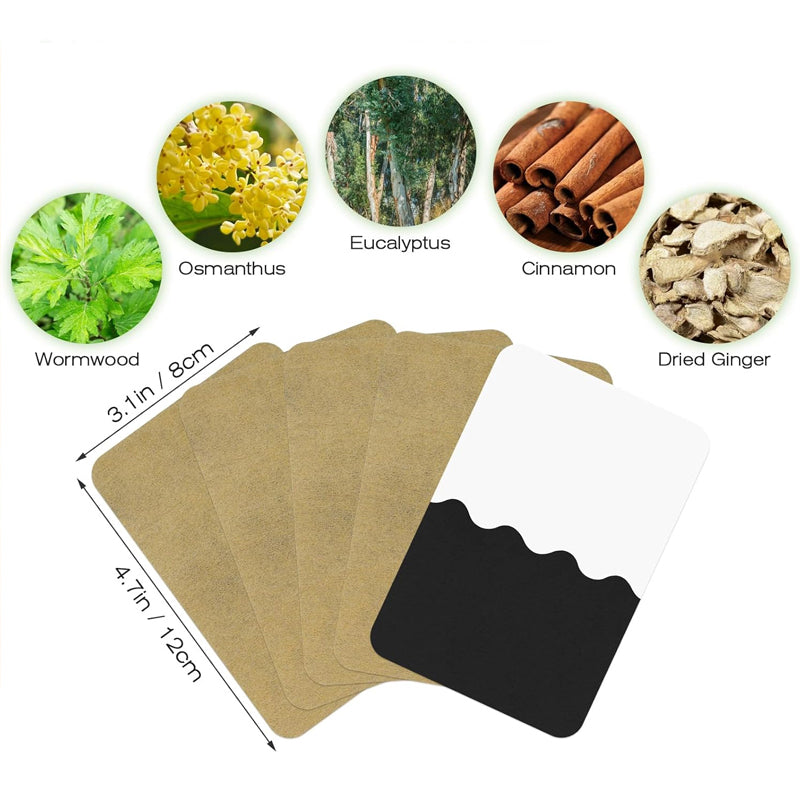 ⏰ Endast nu 49% rabatt!🔥 Ingefäraplåster – Naturlig värmeterapi mot smärta och stelhet | Klistra fast där det gör ont! 💆‍♀️