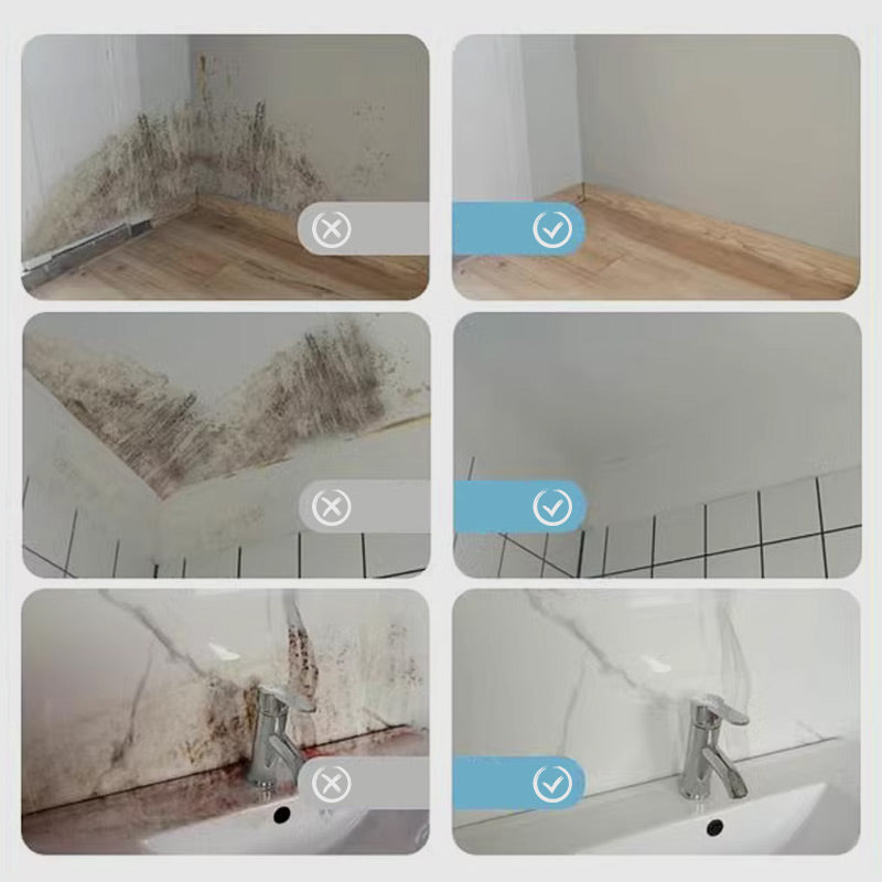 Spray d'élimination des moisissures très efficace-empêche la repousse des moisissures