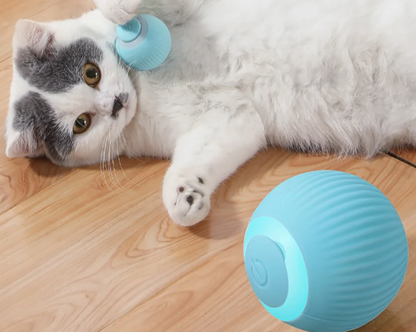 Neuroboll interattivo EzyPets