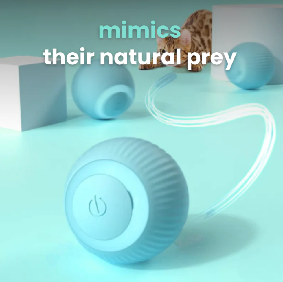 Neuroboll interattivo EzyPets